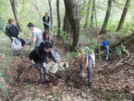 Čistilna akcija 2013 9